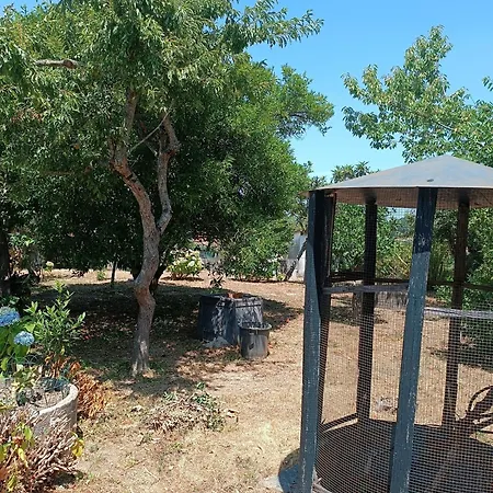 Дом отдыха Casa Da Corredoura