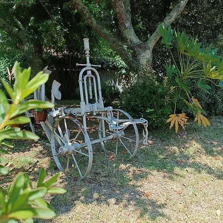 Casa Da Corredoura Дом отдыха
