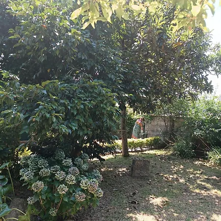 Casa Da Corredoura Casa de Férias